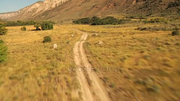 Geel met gras begroeid landschap — Stockvideo