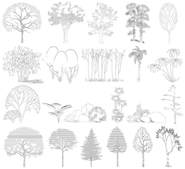 组的乔木、 灌木、 植物。侧面图。矢量图。在白色背景上绘图 — 图库矢量图片
