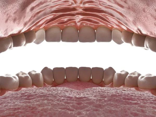 Ανθρώπινη Στοματική Κοιλότητα Μέσα Ανοιχτό Στόμα Εκτροπής Δόντια Μέσα Άποψη — Φωτογραφία Αρχείου