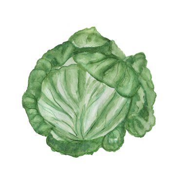 Beyaz üzerinde yeşil lahana.