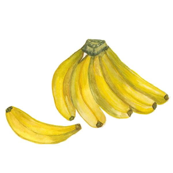 Banana. Dojrzałych bananów na białym tle — Zdjęcie stockowe
