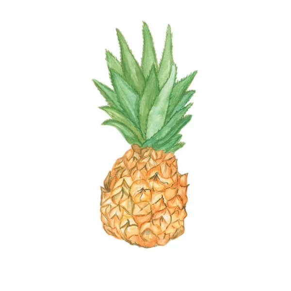 Ananas isolé sur blanc — Photo