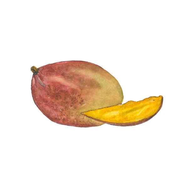 Φρούτα μάνγκο απομονωμένα σε λευκό φόντο Εικόνα Αρχείου