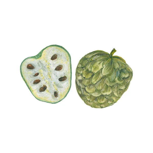 Fruta de Cherimoya em branco — Fotografia de Stock