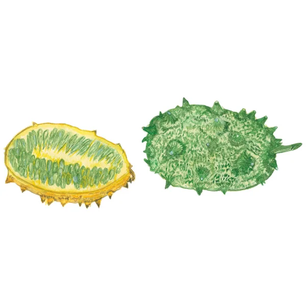 kiwano kavun beyaz zemin üzerine