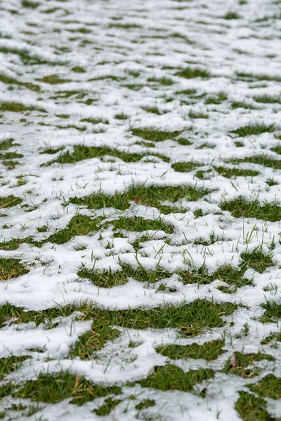 Çimenler beyaz karla kaplı. Soğuk bahar sabahı. Kar desenleri