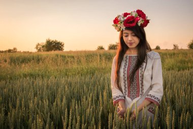 Altın saatte yapılmış sarı tonlarla aydınlatılmış bir portre. Güzel bir genç kadın geleneksel Ukrayna kıyafetleri giyer ve çiçek çelenkleri buğday tarlasında yürür, el yapımı çiçeklerle süslenmiş güzel bir etnik kız doğaya hayrandır.. 