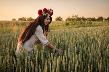 Altın saatte yapılmış sarı tonlarla aydınlatılmış bir portre. Güzel bir genç kadın geleneksel Ukrayna kıyafetleri giyer ve çiçek çelenkleri buğday tarlasında yürür, el yapımı çiçeklerle süslenmiş güzel bir etnik kız doğaya hayrandır.. 