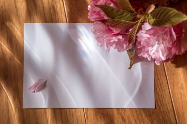 Tahta bir yüzeyde sakura çiçekleri üzerine bir kağıt parçası uzanır. Pembe rüya renginde fotoğraf. Kompozisyon renkli ışıkla aydınlatılıyor. Parazit
