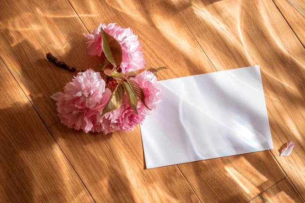 Tahta bir yüzeyde sakura çiçekleri üzerine bir kağıt parçası uzanır. Pembe rüya renginde fotoğraf. Kompozisyon renkli ışıkla aydınlatılıyor. Parazit