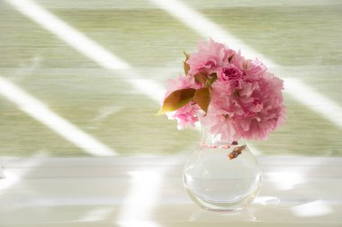 Fotoğraf çok önemli. Pencere pervazında sakura çiçekleri. Yeşil arka plan. Pencereye ışık çizimleri