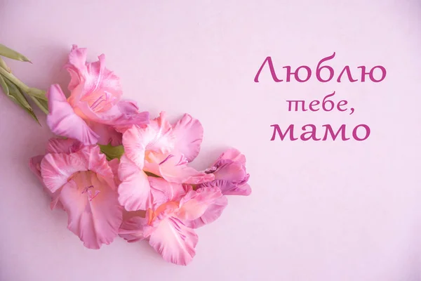 ウクライナ語で 愛しています お母さん という意味です 母の日 ピンクの背景にカラフルなグラジオリ 空の表面に花 トップビュー グリーティングカード — ストック写真