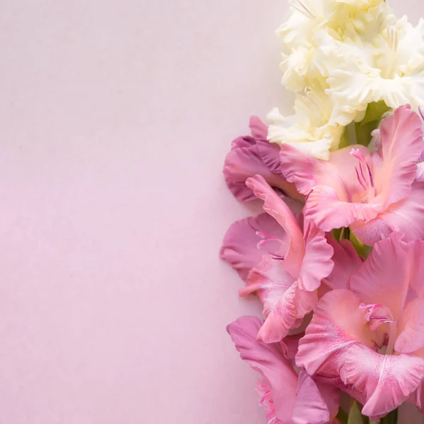 Moda renklerinde desenli bir arka planda Gladiolus. Gladiolus çiçekleriyle dolu tebrik kartı. Arkaplan dokusu. Pembe renk