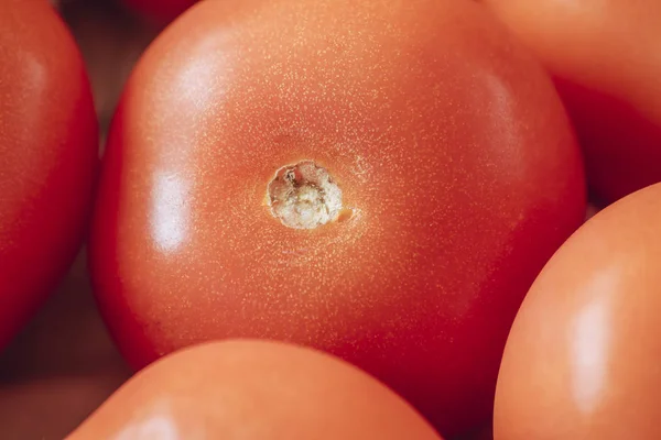 Nahaufnahme einer roten Tomate umgeben von Tomaten. — Stockfoto