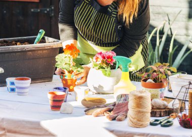 Ev işleri konsepti. Sarışın kadın evde bahçe işleriyle uğraşıyor..