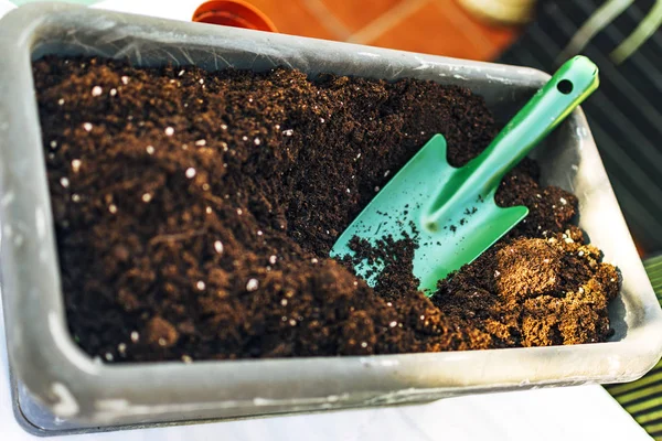 Home gardening concept. Green shovel for planting, half buried in the gardening arena.