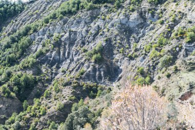 Manzara, arka planında orman olan karlı dağlardan oluşuyordu..