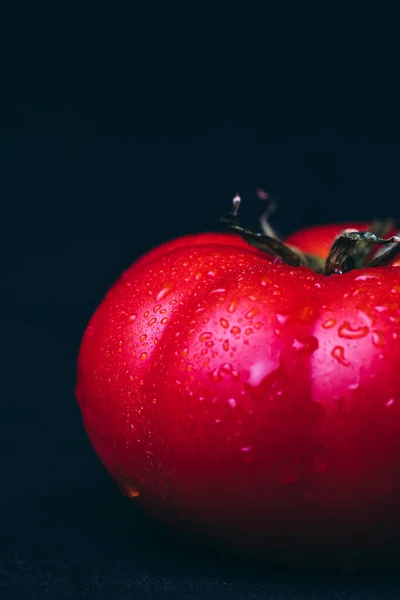 Frische Rote Tomate Frisch Vom Strauch Gepflückt Mit Schwarzem Hintergrund — Stockfoto
