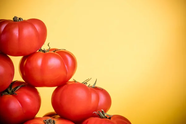 Frisch Gepflückte Tomaten Mit Gelbem Hintergrund — Stockfoto