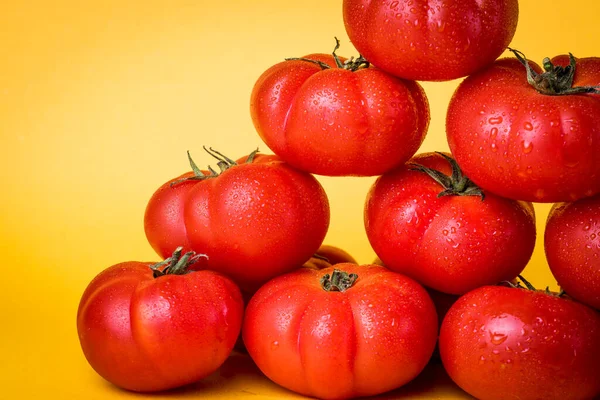 Frisch Gepflückte Tomaten Mit Gelbem Hintergrund — Stockfoto