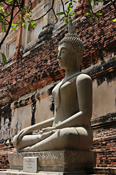 Estátua de Buda em Ayuttaya da Tailândia . — Fotografia de Stock