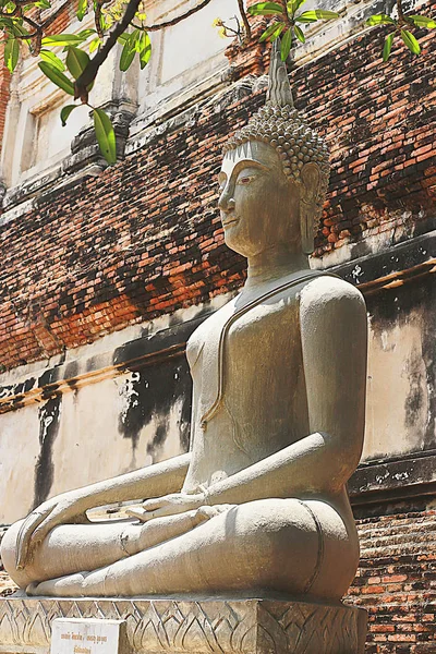 Estátua de Buda em Ayuttaya da Tailândia . — Fotografia de Stock