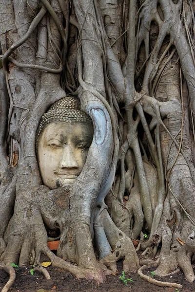 Stupa Wat Thai — Fotografia de Stock