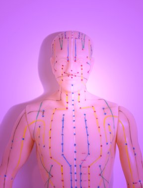 İnsan tıbbi akupunktur modeli