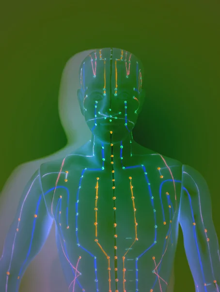 Medical acupuncture model of human — Stock Photo, Image