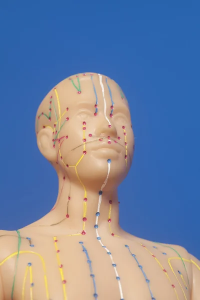 Modèle d'acupuncture médicale de la tête humaine sur fond bleu — Photo