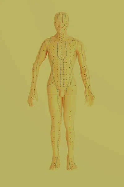 Modelo médico da acupuntura do ser humano — Fotografia de Stock