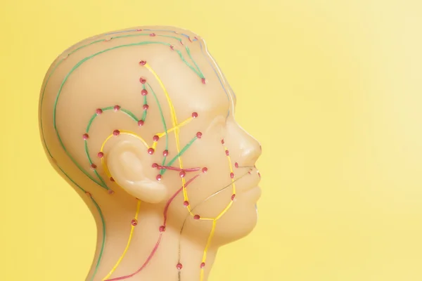 Modelo de acupuntura médica de la cabeza humana sobre fondo amarillo — Foto de Stock