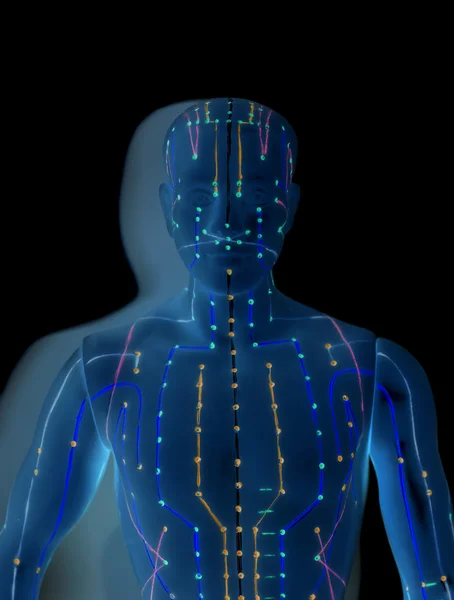 Modelo médico da acupuntura do ser humano — Fotografia de Stock