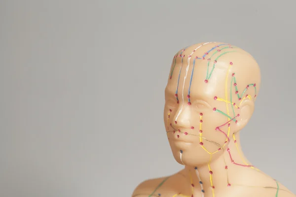 Медична акупунктура модель голови людини ізольована на сірому фоні — стокове фото