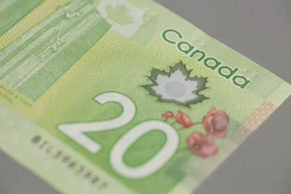 Canadiense 20 dólares — Foto de Stock