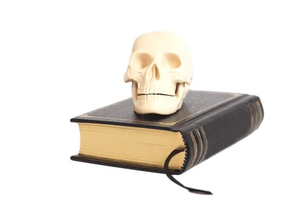 Human Scull On Book aislado en blanco — Foto de Stock