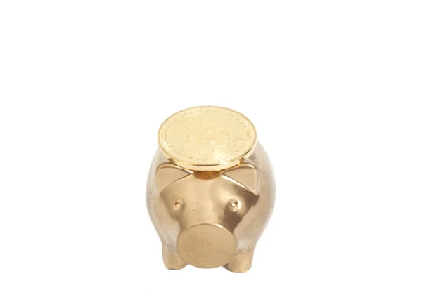 Golden Piggy bank dengan Satu koin Bitcoin Emas (virtual mone baru — Stok Foto