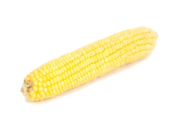 Fresh Ear of Corn — Stock Photo, Image