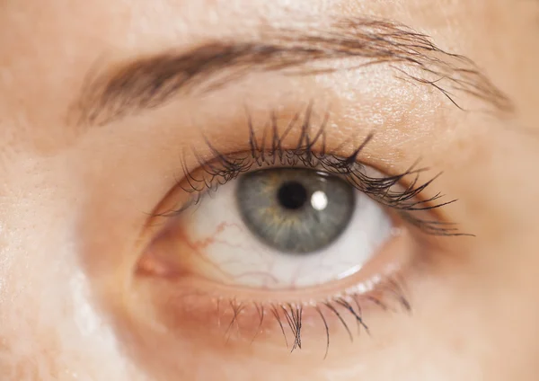 Крупним планом знімок жіночого ока з макіяжем — стокове фото