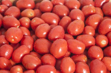 Sağlıklı olgun kırmızı domates arka plan grup