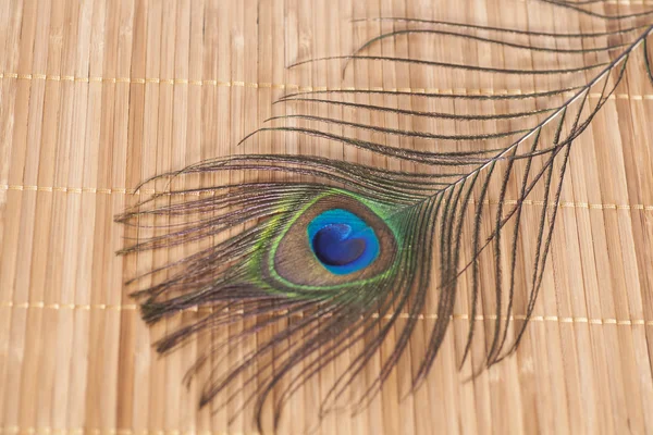 孔雀羽毛上木制的背景 — 图库照片
