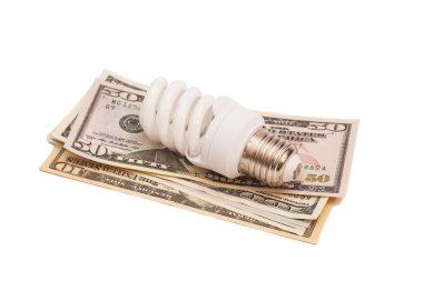 Enerji tasarrufu ampul Doları üzerinde yerleştirilen gösterdiği kavramı