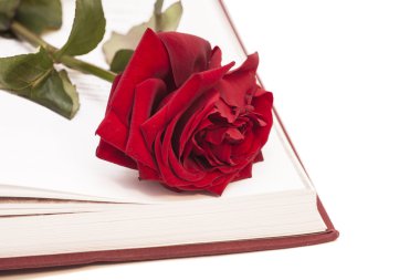 Açık kitap ve kırmızı gül 