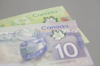Kanada 10 ve 20 dolar banka notları