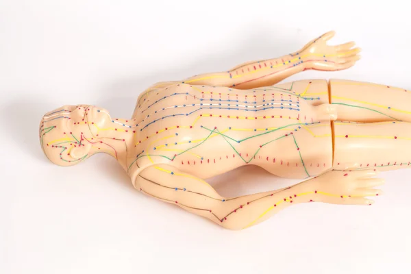 Modèle d'acupuncture médicale de l'homme sur fond blanc — Photo