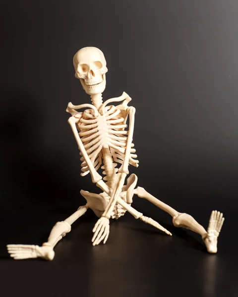 Sitting skeleton  on black background — Stock Photo, Image