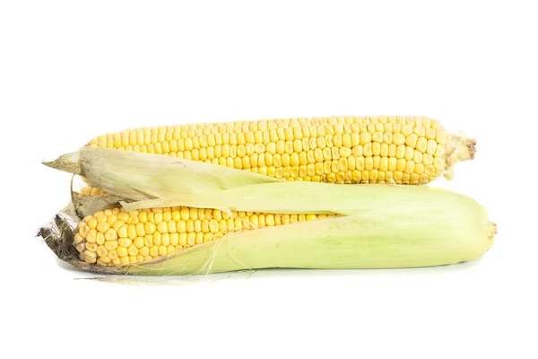 鲜食玉米穗孤立在白色背景上 — 图库照片