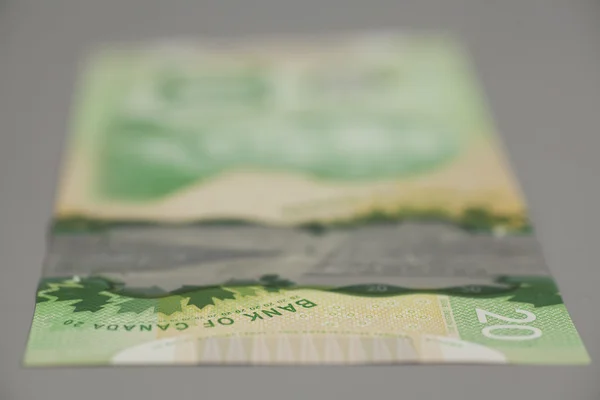 20 dollars Canadian bank notes — Stock Photo, Image
