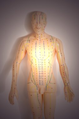 İnsan gri arka plan üzerinde tıbbi akupunktur modeli