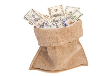 dolar para çantası